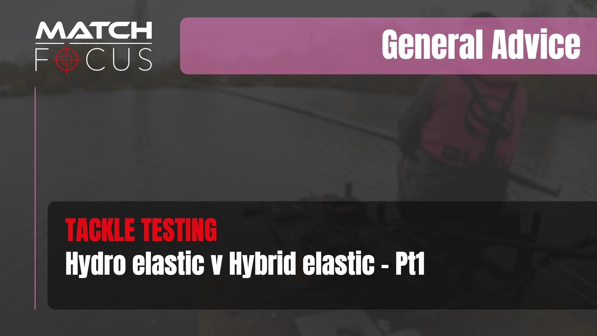 Hollow (Hydro) v Hybrid Elastic Comparison Pt1 | General Advice 033