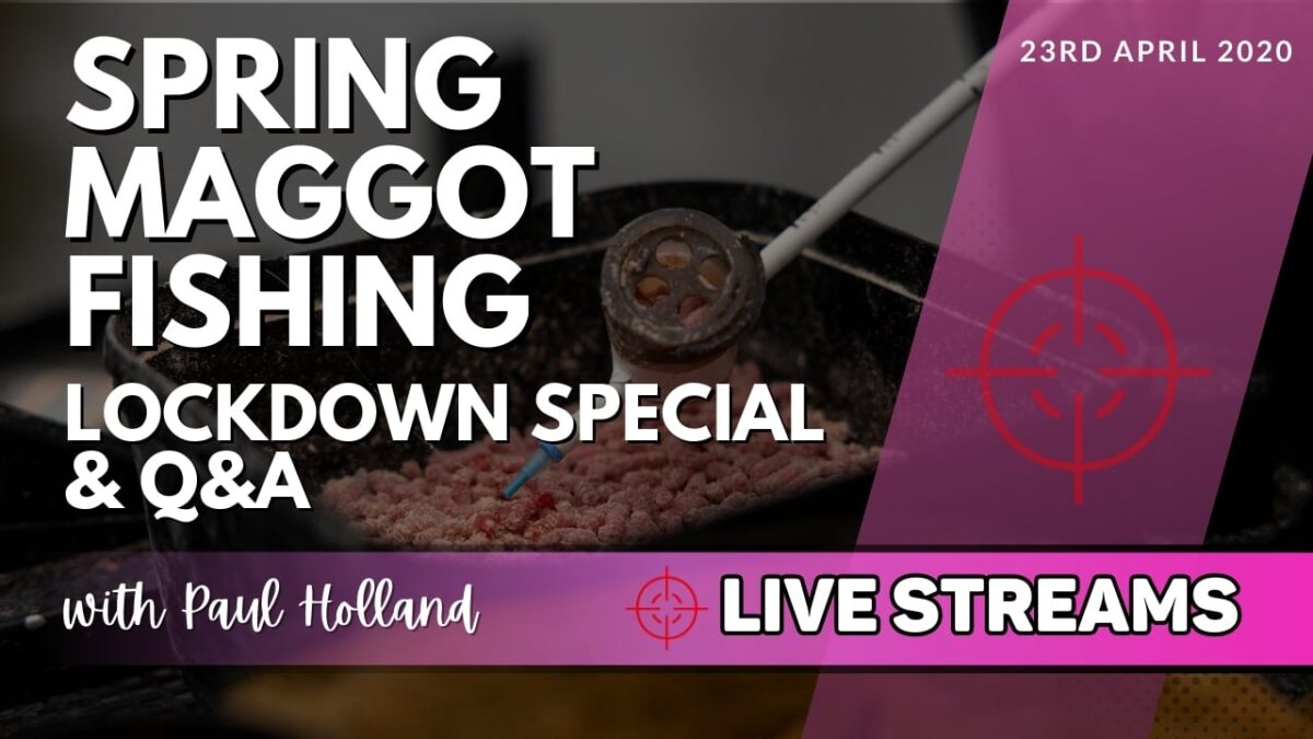 Spring Maggot Fishing | LIVE005 | Live Streams