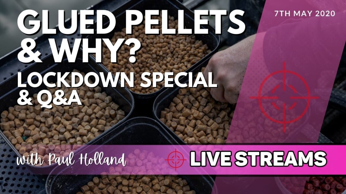 Glued Pellets & WHY? | LIVE007 | Live Streams