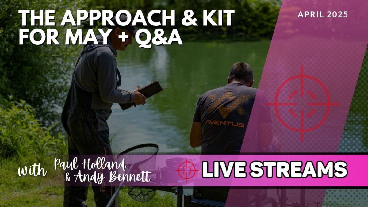 Paul Holland & Andy Bennett Match Catch Up & Q&A | LIVE 065 | Live Streams