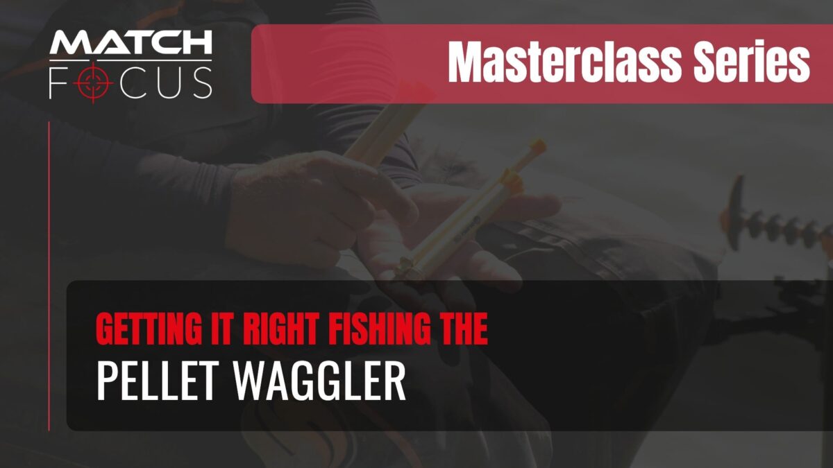 Pellet Waggler Masterclass