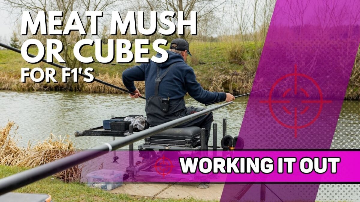 Meat Mush or Cubes for F1’s | Tunnel Barn Farm | Working It Out