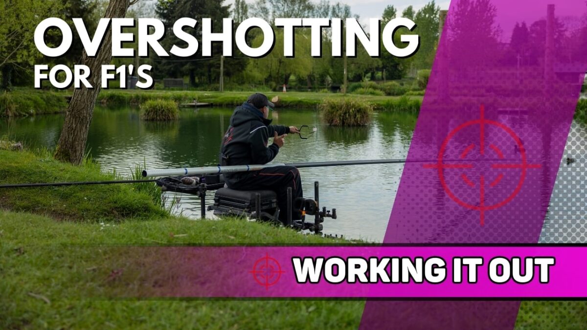 Overshotting For F1’s | Tunnel Barn Farm | Working It Out