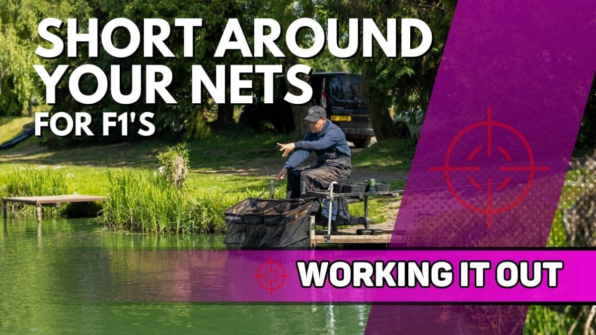 Short Around Your Nets For F1’s | Tunnel Barn Farm | Working It Out