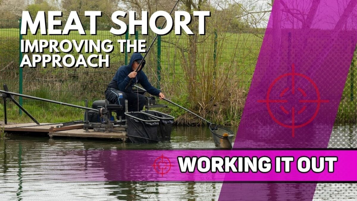 Meat Short – Improving the Approach | Tunnel Barn Farm | Working It Out