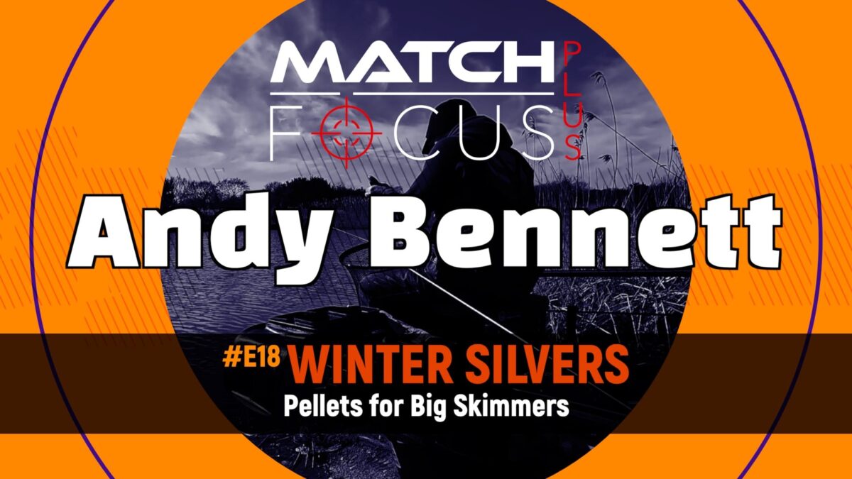 #E18 – Winter Silvers – Pellets for Big Skimmers