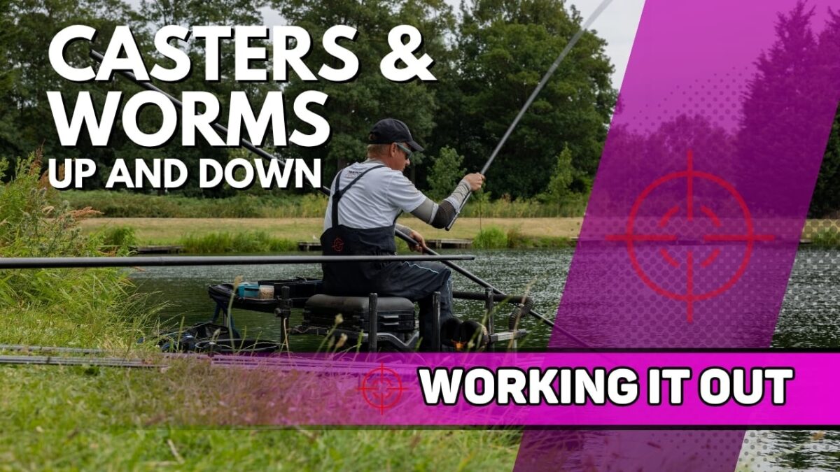 Worms & Casters Up and Down | Hayfield Lakes | Working It Out