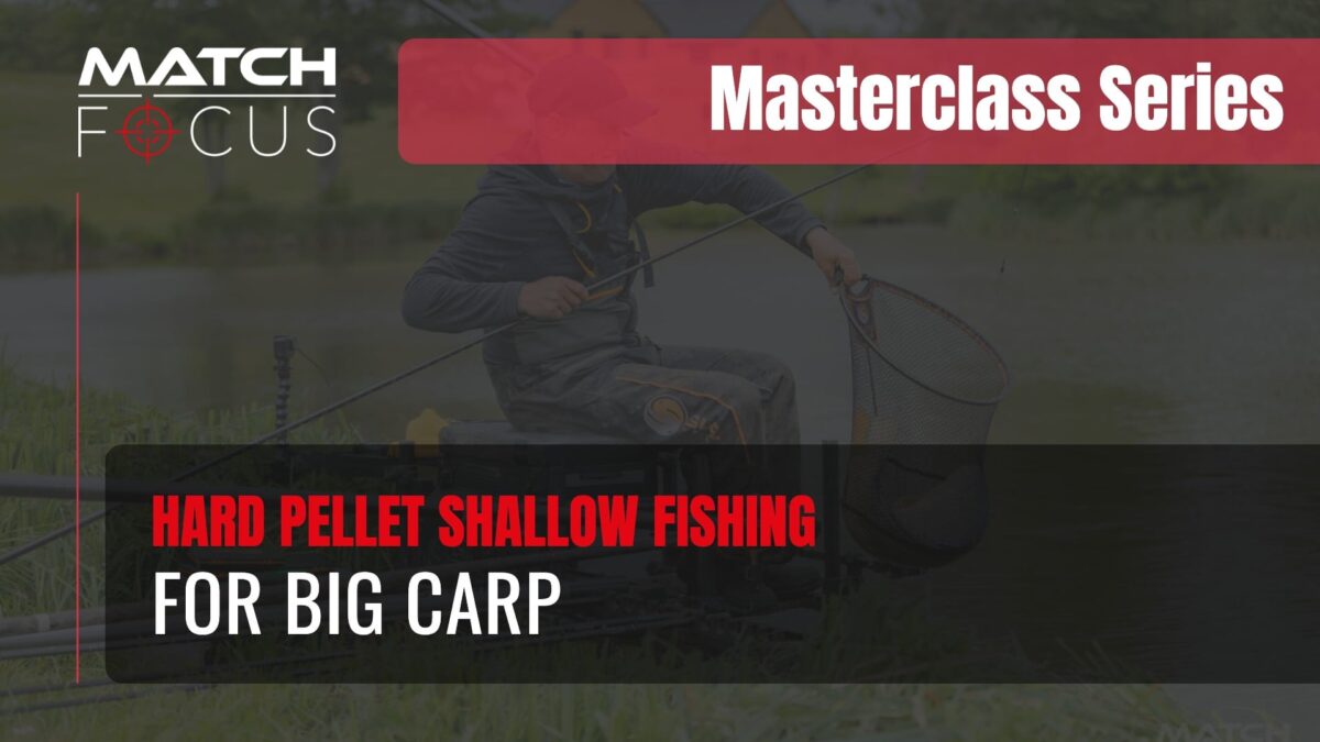 Hard Pellet Shallow Fishing for Big Carp