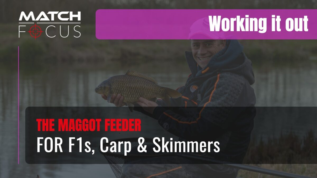 The Maggot Feeder For F1’s Carp & Skimmers | Packington Somers | Working It Out