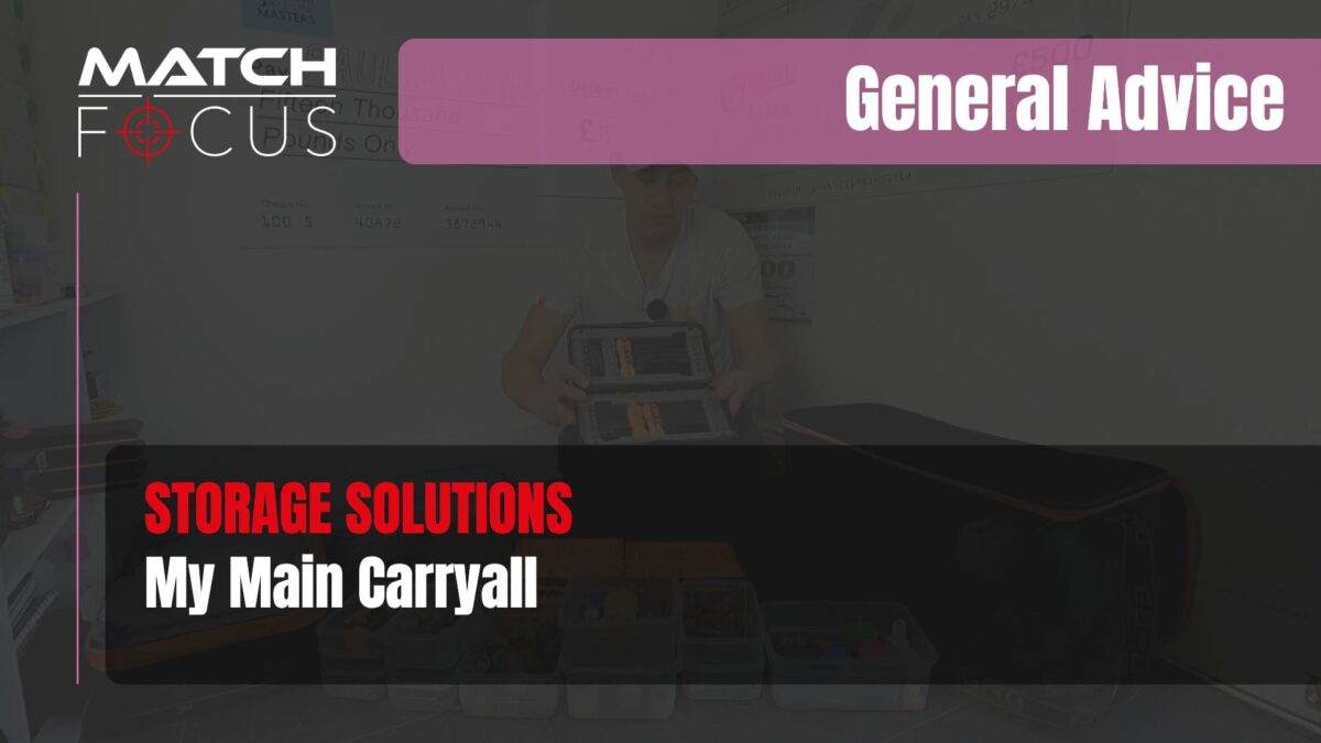 My Main Carryall – Storage Solutions | General Advice 036