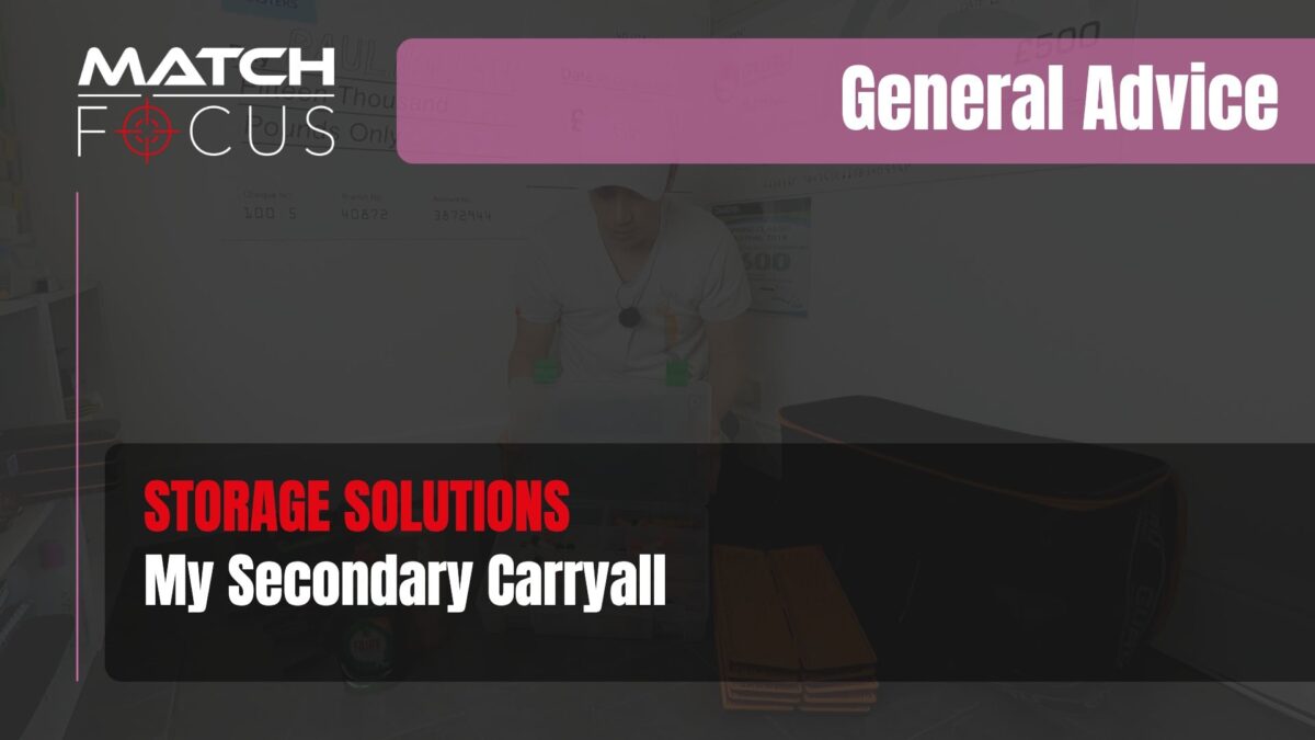 My Secondary Carryall – Storage Solutions | General Advice 037