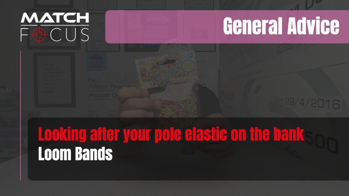Looking after your pole elastic on the bank | General Advice 040