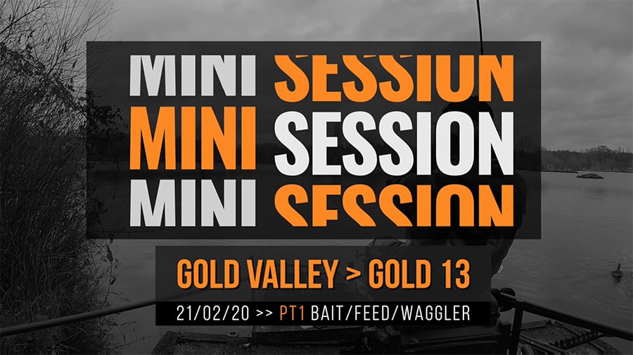 Gold Valley Gold 13 – PT1 Bait, feed & waggler