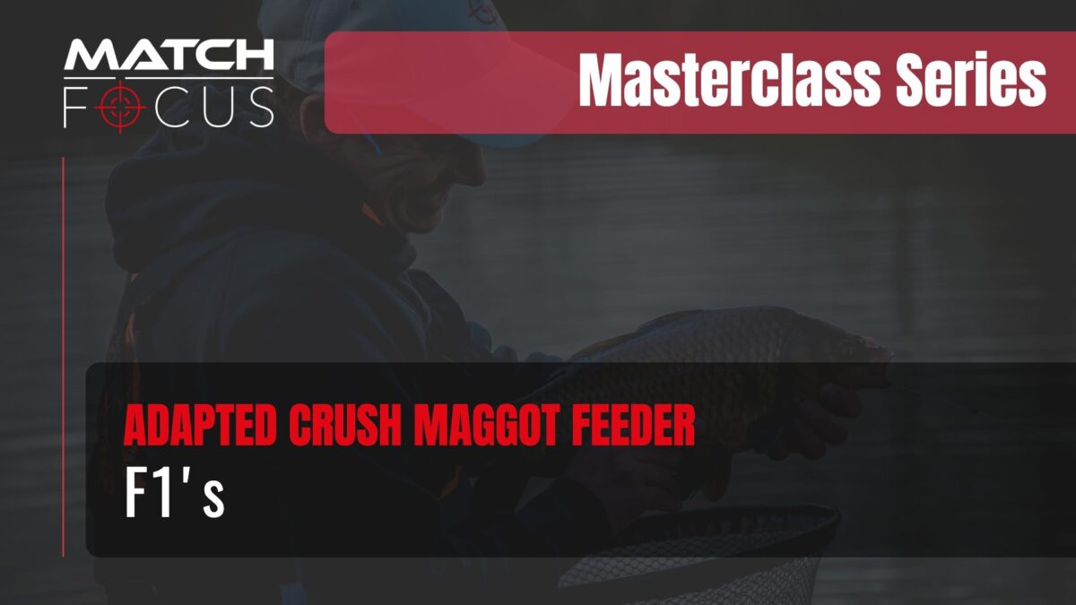 Adapted Crush Maggot Feeder for F1’s