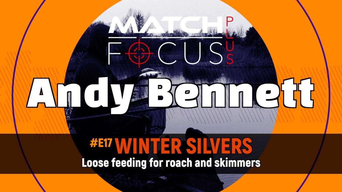 #E17 – Winter Silvers – Loose feeding for Roach & Skimmers