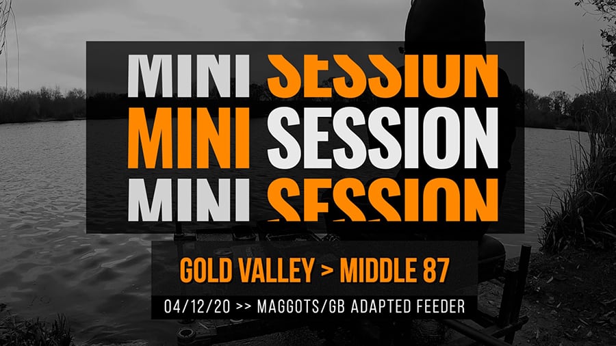 Maggot/Groundbait Adapted Feeder | Gold Valley Lakes | 4th December 2020 | Mini Session