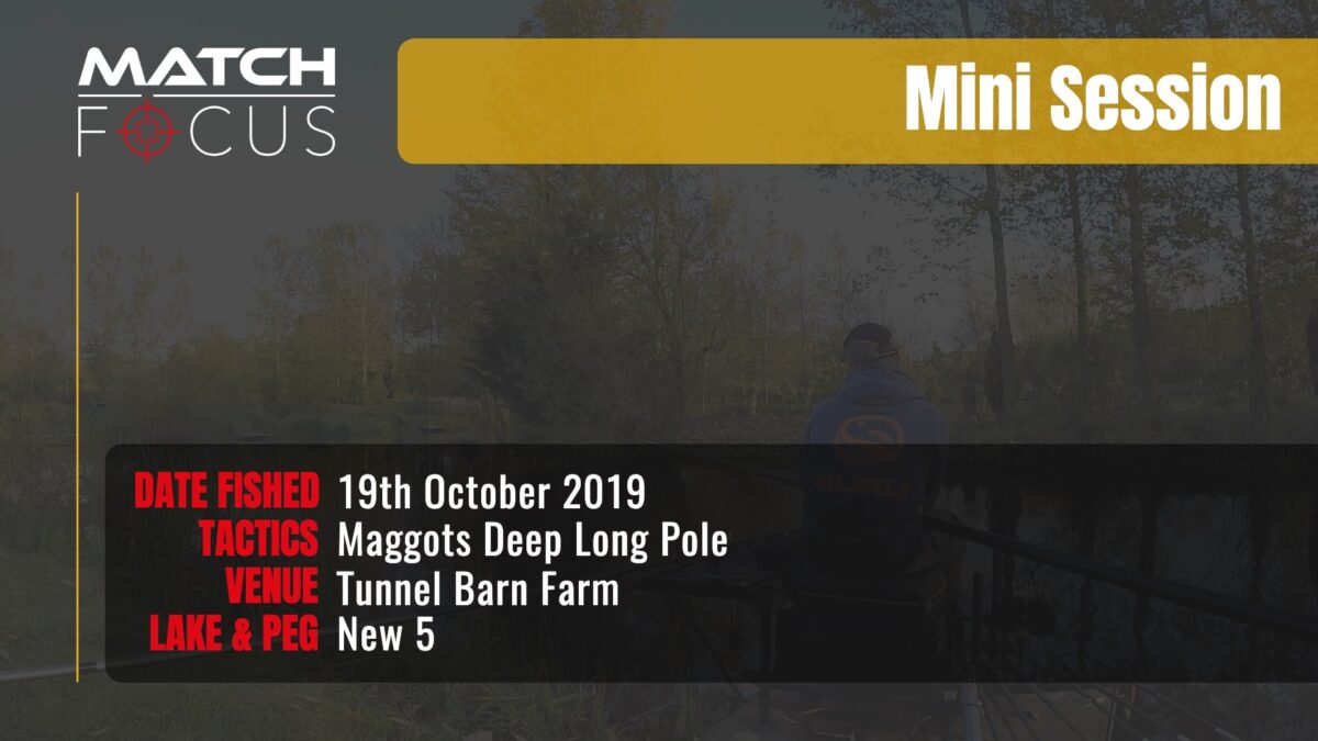 Maggots Deep On The Long Pole | Tunnel Barn Farm | 19th October 2019 | Mini Session