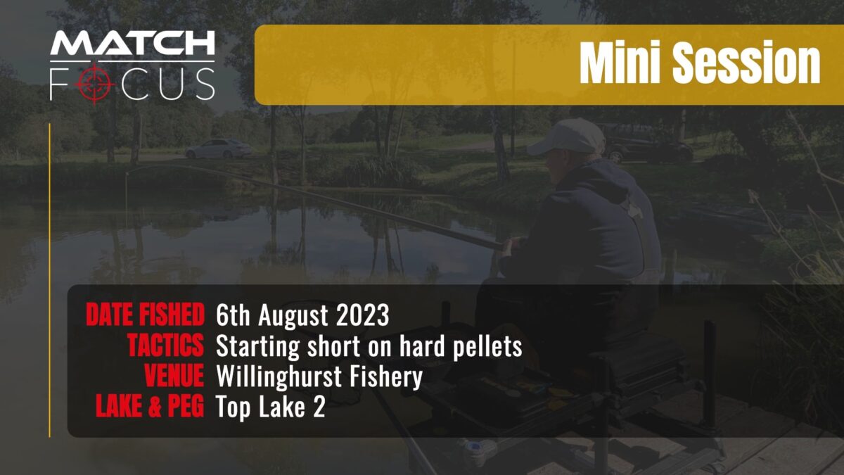 Starting Short With Hard Pellets | Willingshurst Fishery | 6th August 2023 | Mini Session