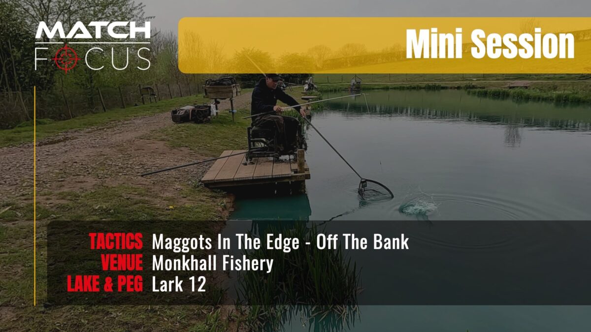 Maggots In The Edge Off The Bank | Monkhall Fishery | Mini Session