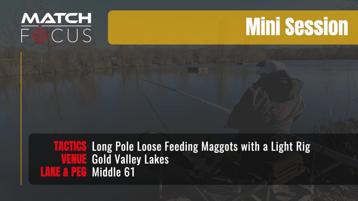 Long Pole Loose Feeding Maggots with a Light Rig | Gold Valley Lakes | Mini Session