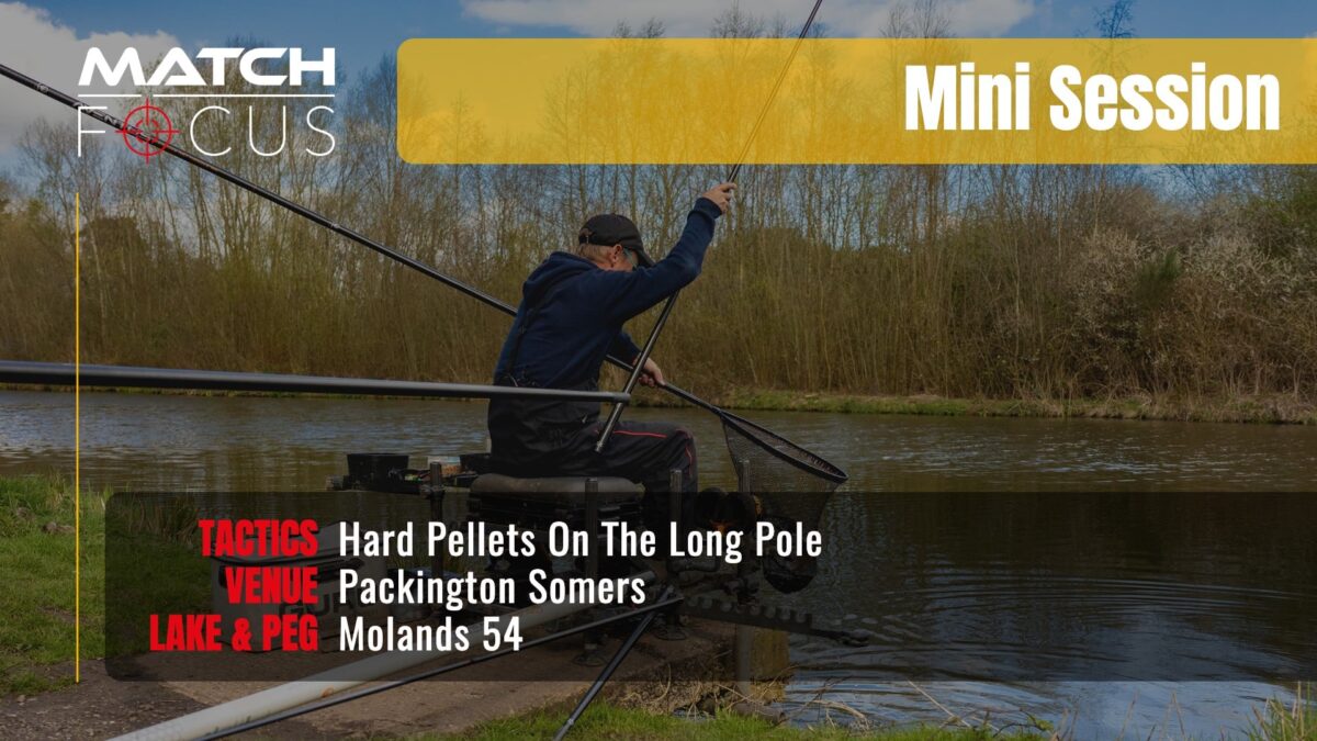 Hard Pellets On The Long Pole | Packington Somers | Mini Session