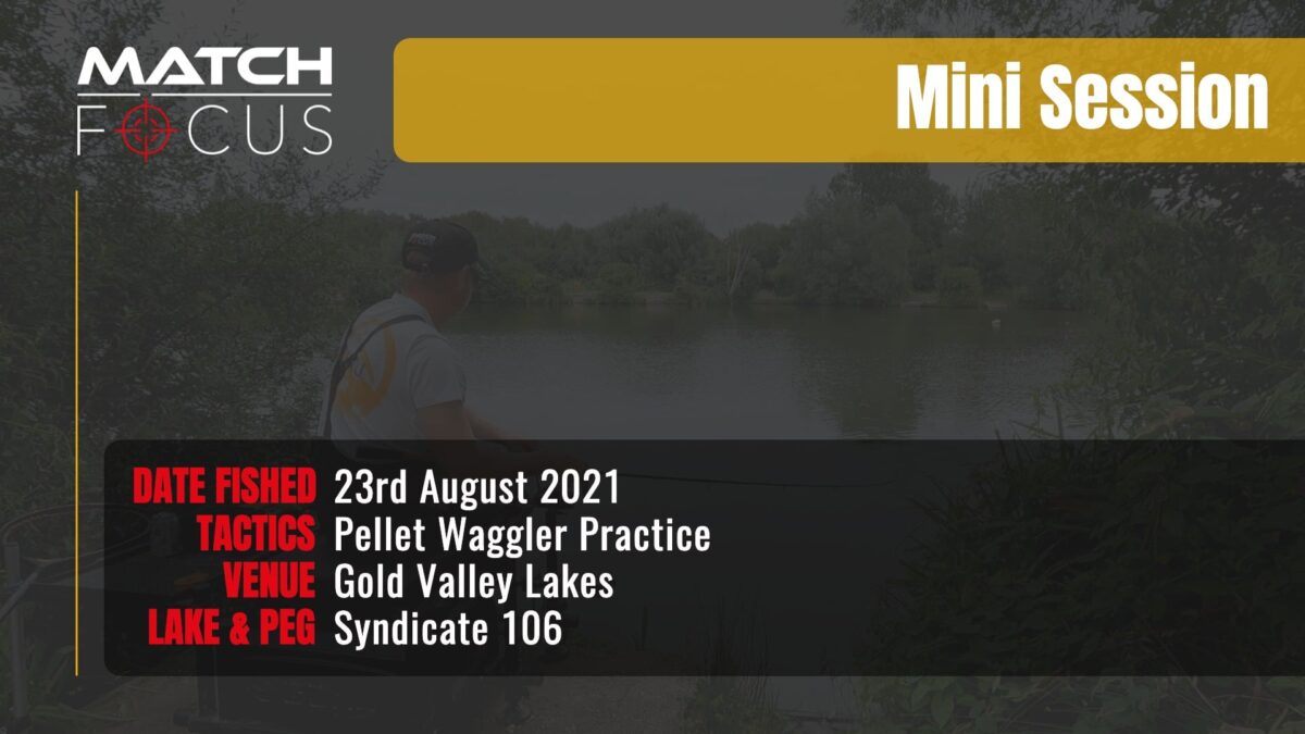 Pellet Waggler Practice | Gold Valley Lakes | 23rd August 2021 | Mini Session