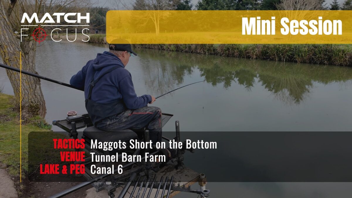 Maggots Short on the bottom | Tunnel Barn Farm | Mini Session