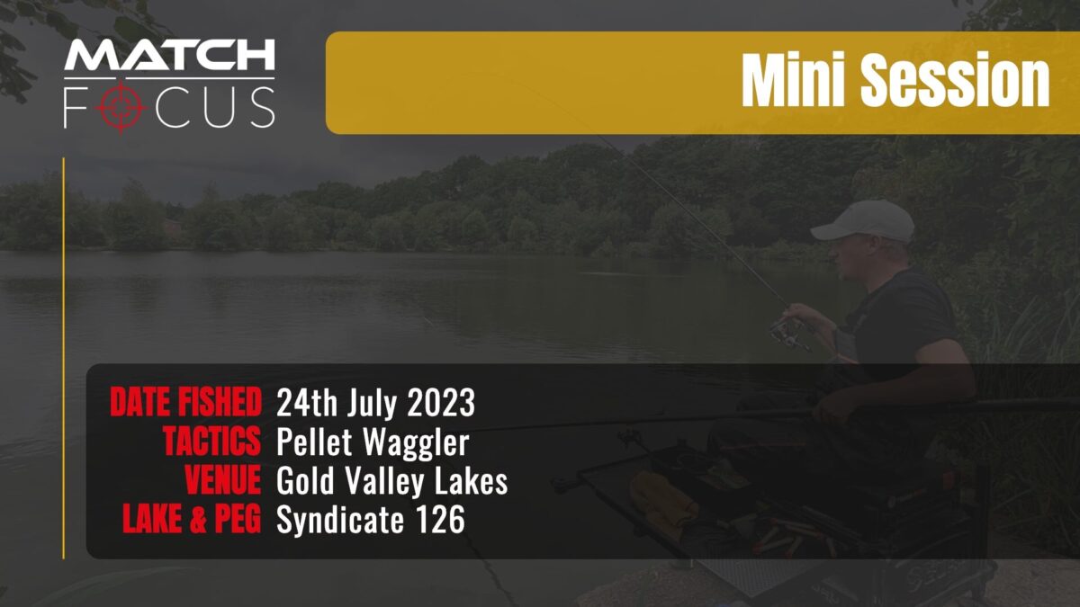 Pellet Waggler | Gold Valley Lakes | 24th July 2023 | Mini Session