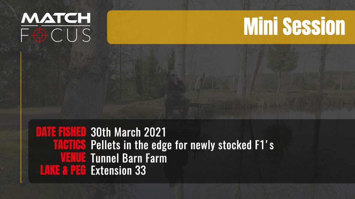Tunnel Extension 33 – Pellets in the edge for newly stocked F1’s