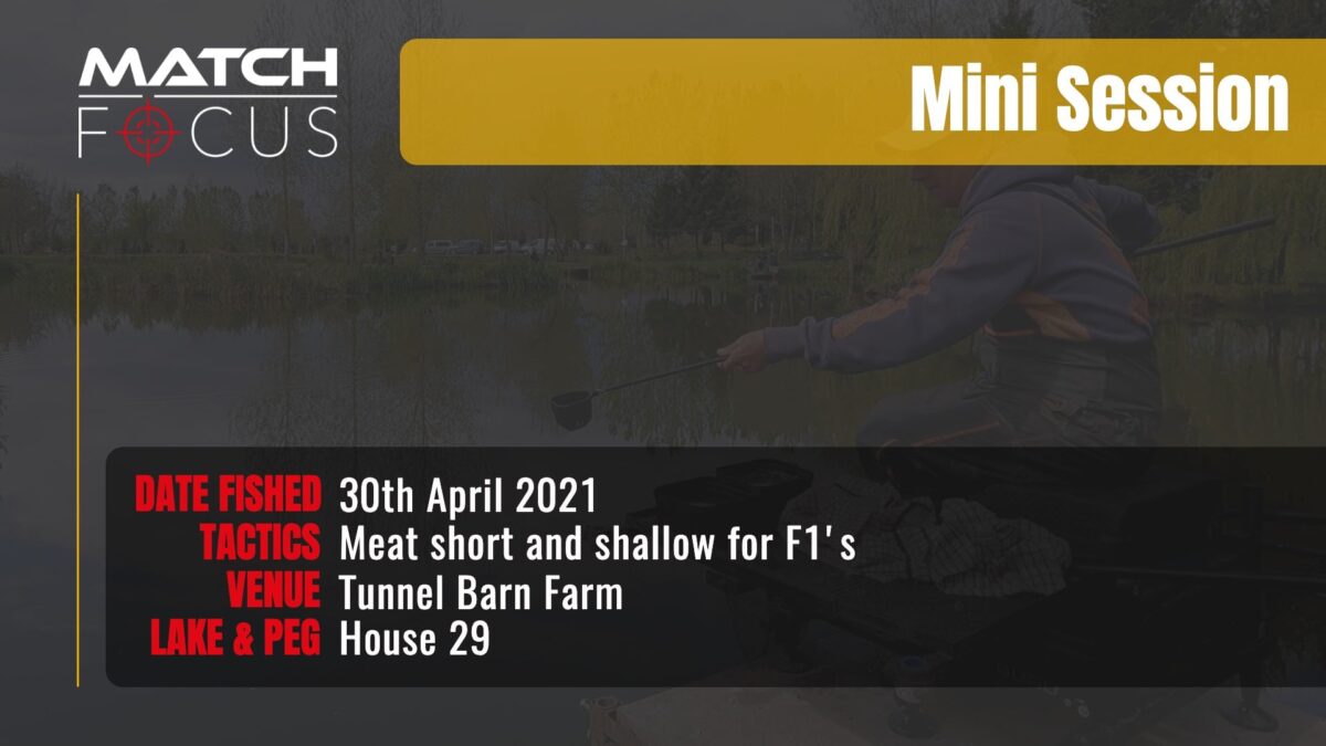 Meat Short And Shallow For F1’s pt1 | Tunnel Barn Farm | 30th April 2021 | Mini Session