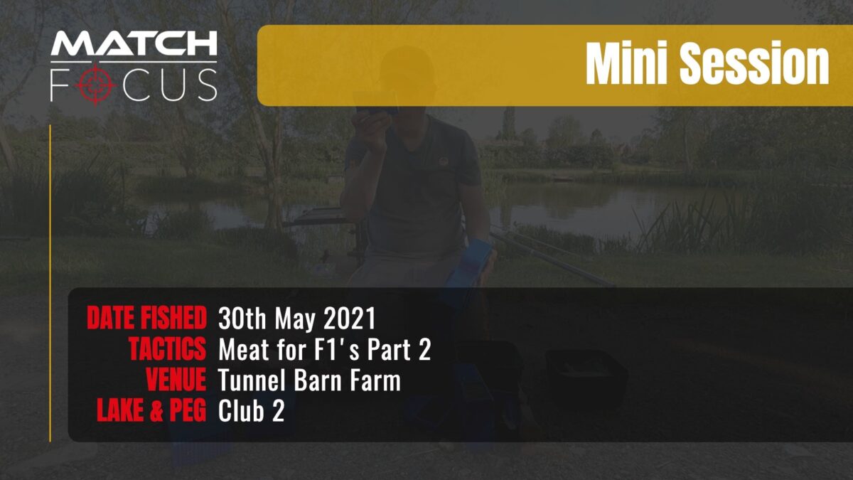 Meat For F1’s pt2 | Tunnel Barn Farm | 30th May 2021 | Mini Session