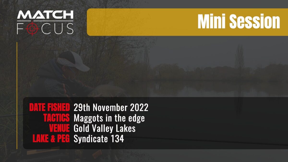 Maggots In The Edge | Gold Valley Lakes | 29th November 2022 | Mini Session