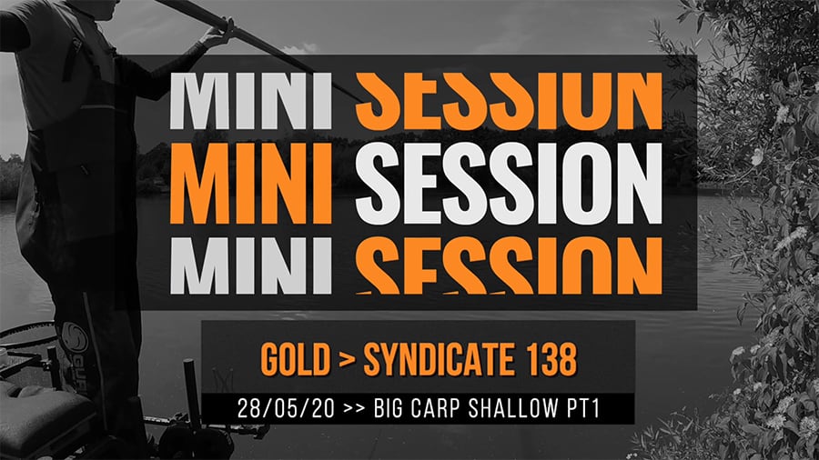 Gold Syndicate 138 – Carp Shallow Pt1 – Mugging